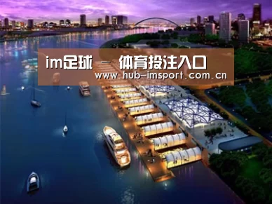 案例展示八