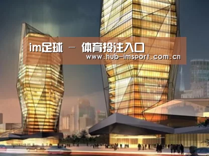 案例展示三