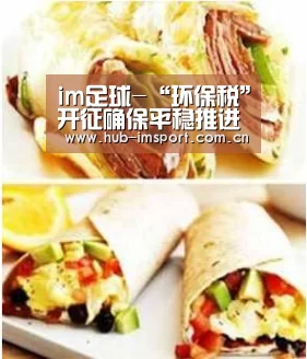im足球-“环保税”开征确保平稳推进(图2) im体育官网
