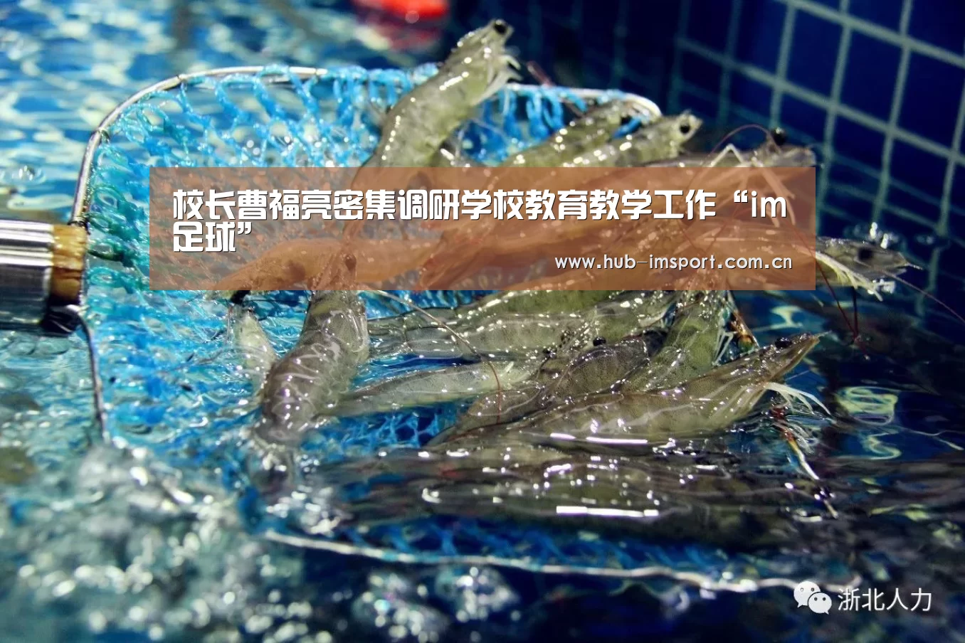 校长曹福亮密集调研学校教育教学工作“im足球”(图1) im体育官网