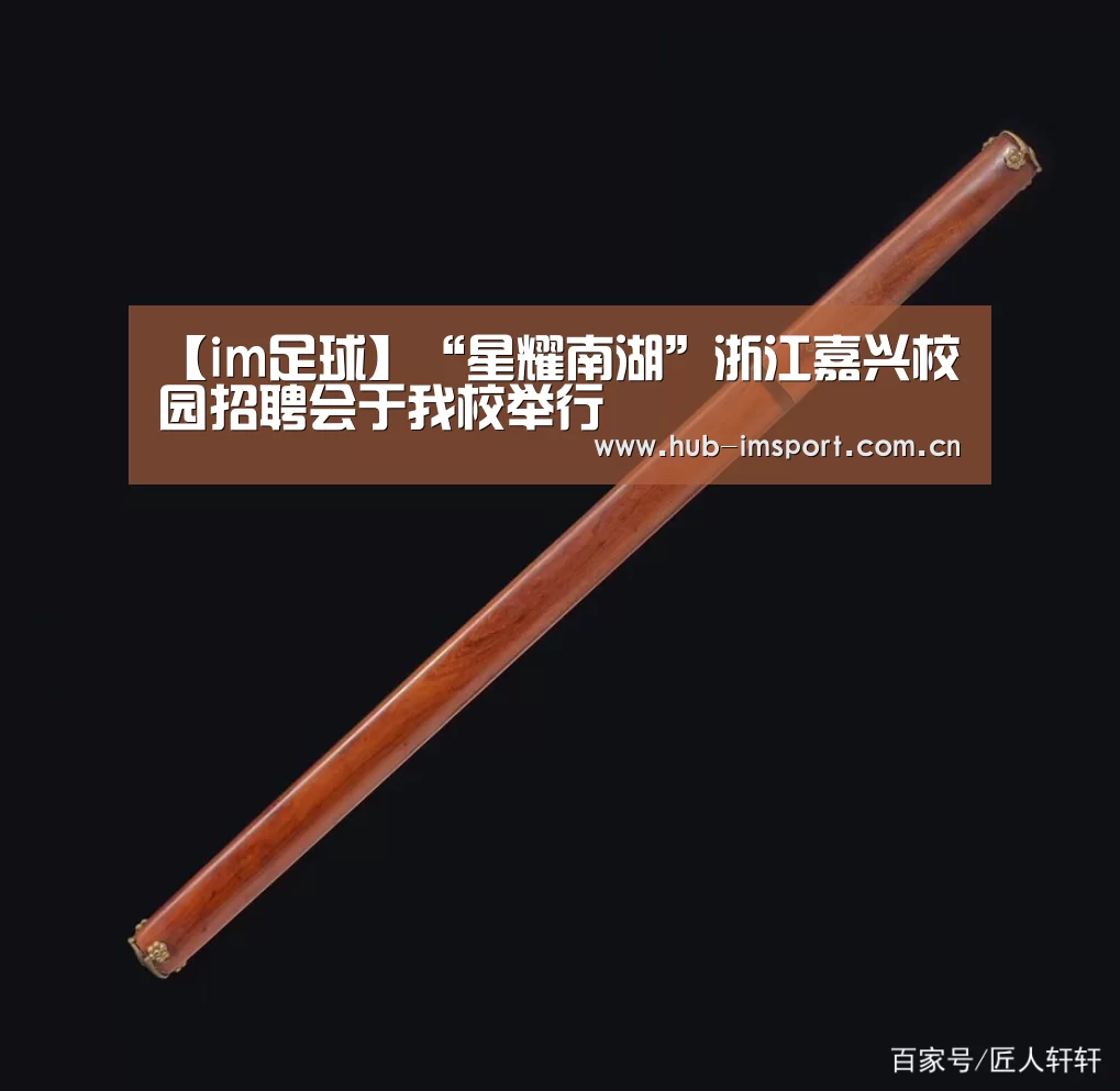 【im足球】“星耀南湖”浙江嘉兴校园招聘会于我校举行(图4) im足球