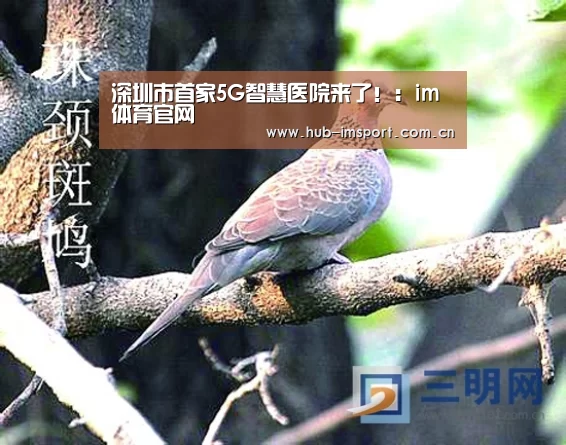 深圳市首家5G智慧医院来了!:im体育官网(图3) im足球