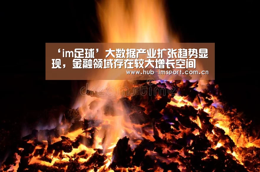 ‘im足球’大数据产业扩张趋势显现,金融领域存在较大增长空间(图1) im体育