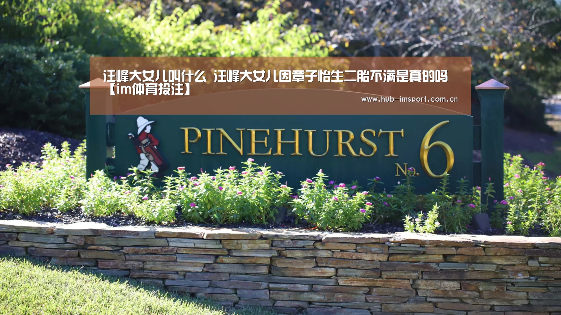 汪峰大女儿叫什么 汪峰大女儿因章子怡生二胎不满是真的吗【im体育投注】(图1) im体育官网