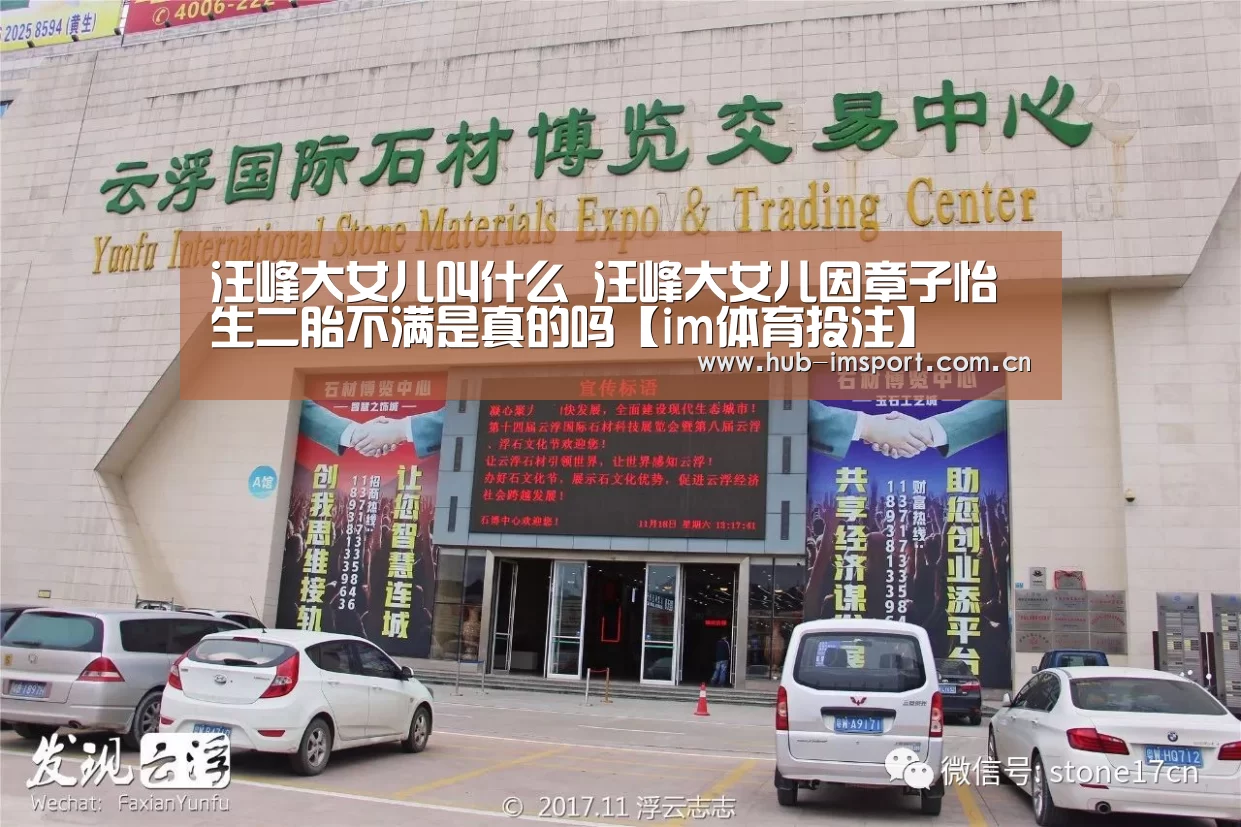 汪峰大女儿叫什么 汪峰大女儿因章子怡生二胎不满是真的吗【im体育投注】(图2) im体育官网